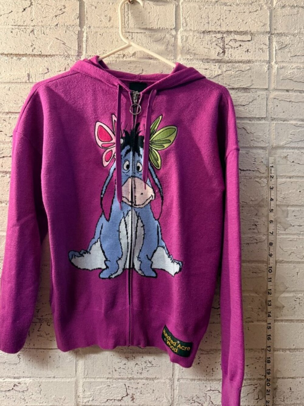 Disney Eeyore Hundred Acre Wood Womens L Zip Hoodie Pink BoxLunch NWT